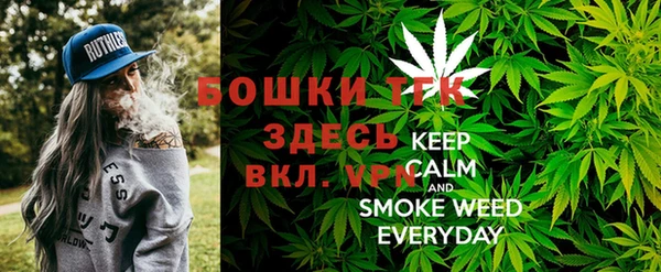 спайс Михайлов