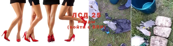 ПСИЛОЦИБИНОВЫЕ ГРИБЫ Медногорск