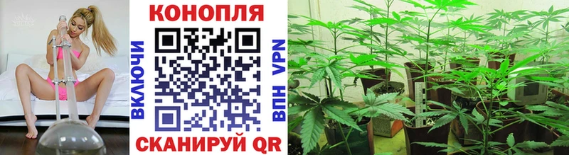 Бошки Шишки гибрид  Купить  Старый Крым 